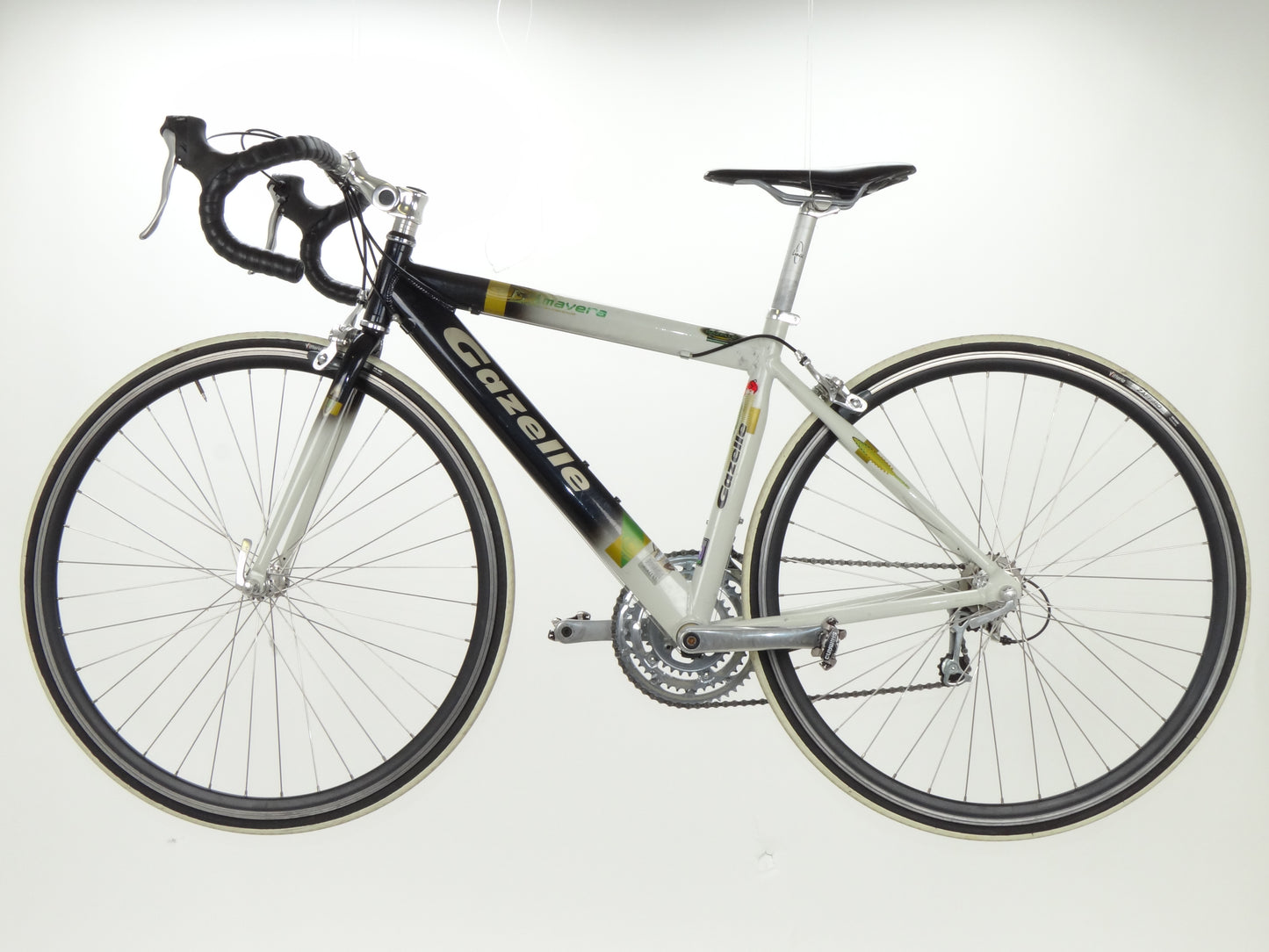 Gazelle Primavera