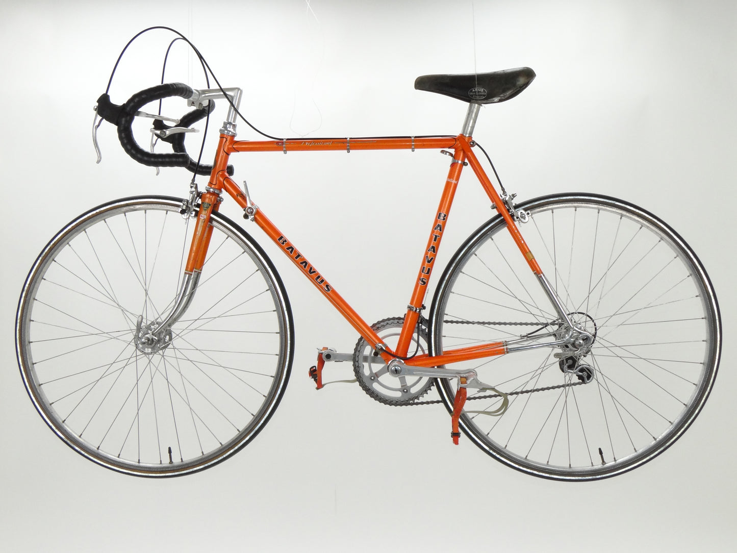 Batavus Professional