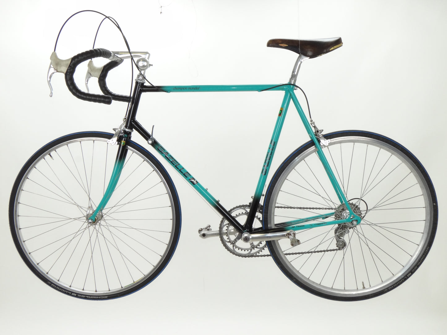 Gazelle champion mondial