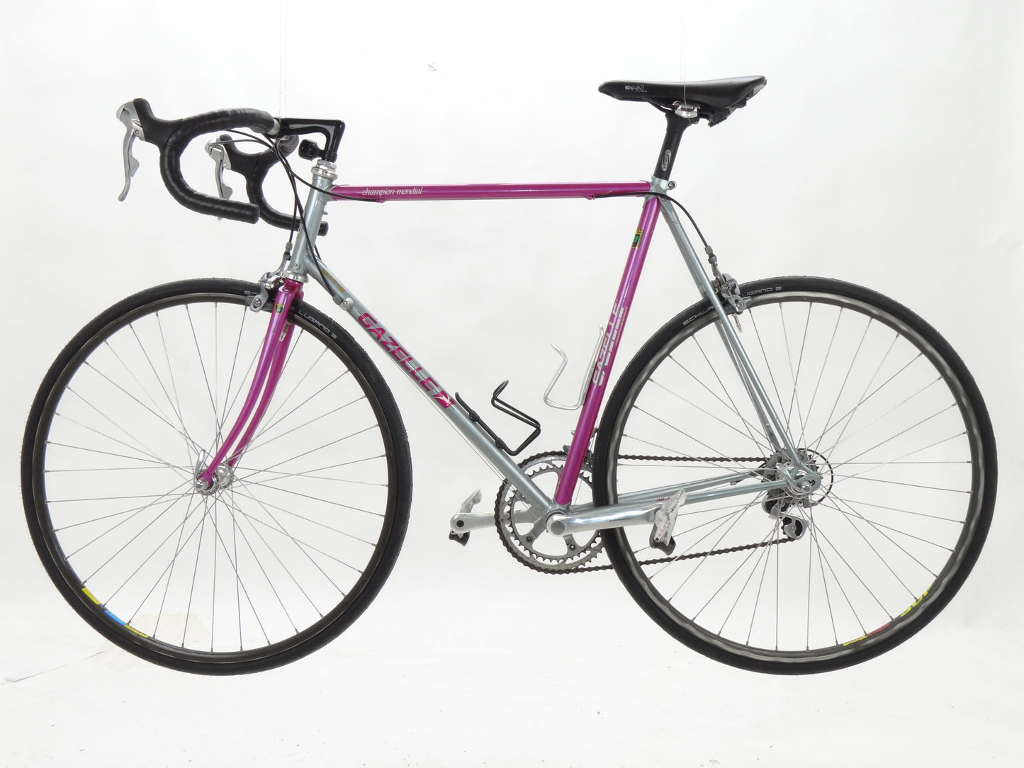 Gazelle Champion Mondial