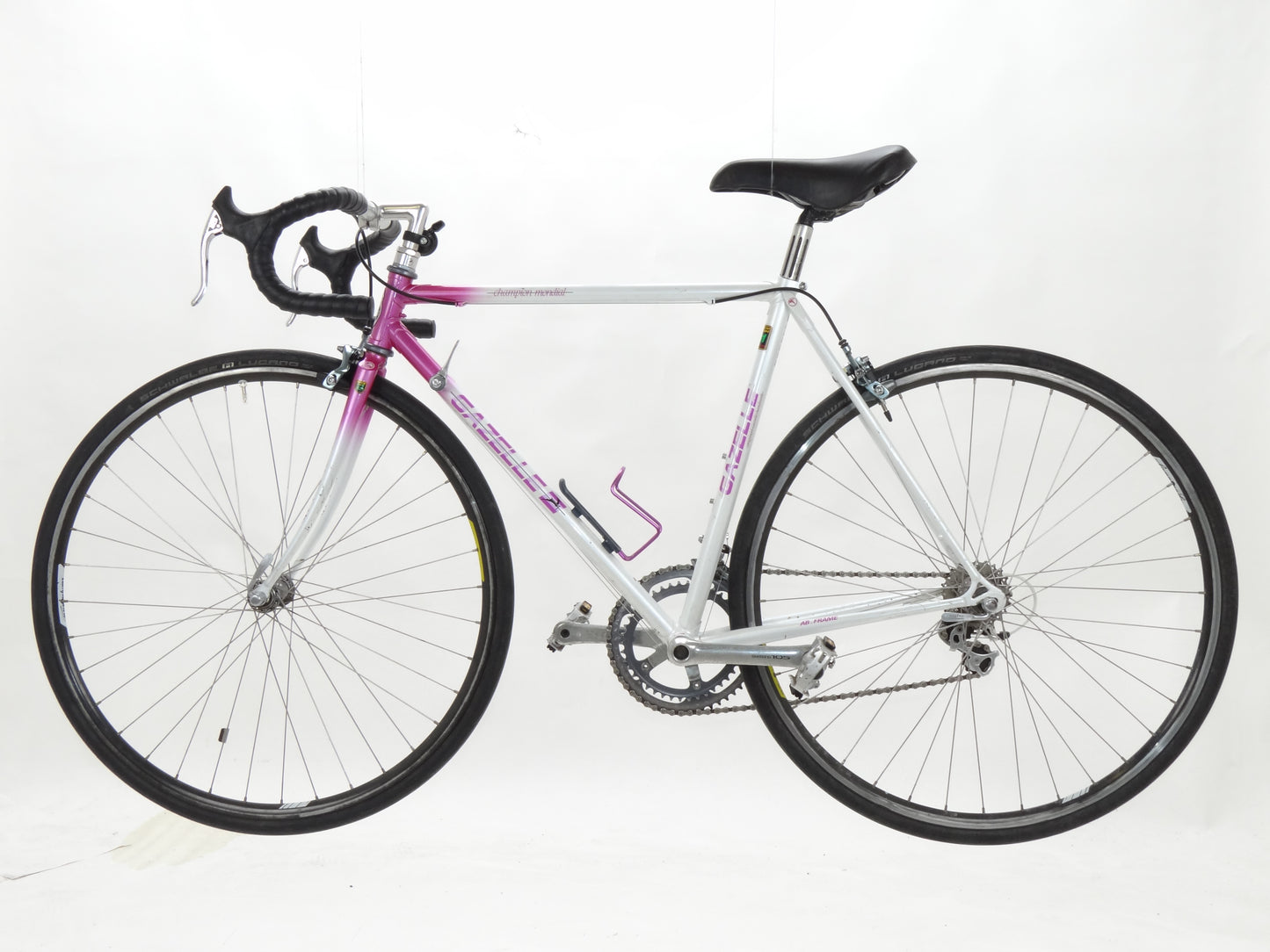 Gazelle Champion Mondial