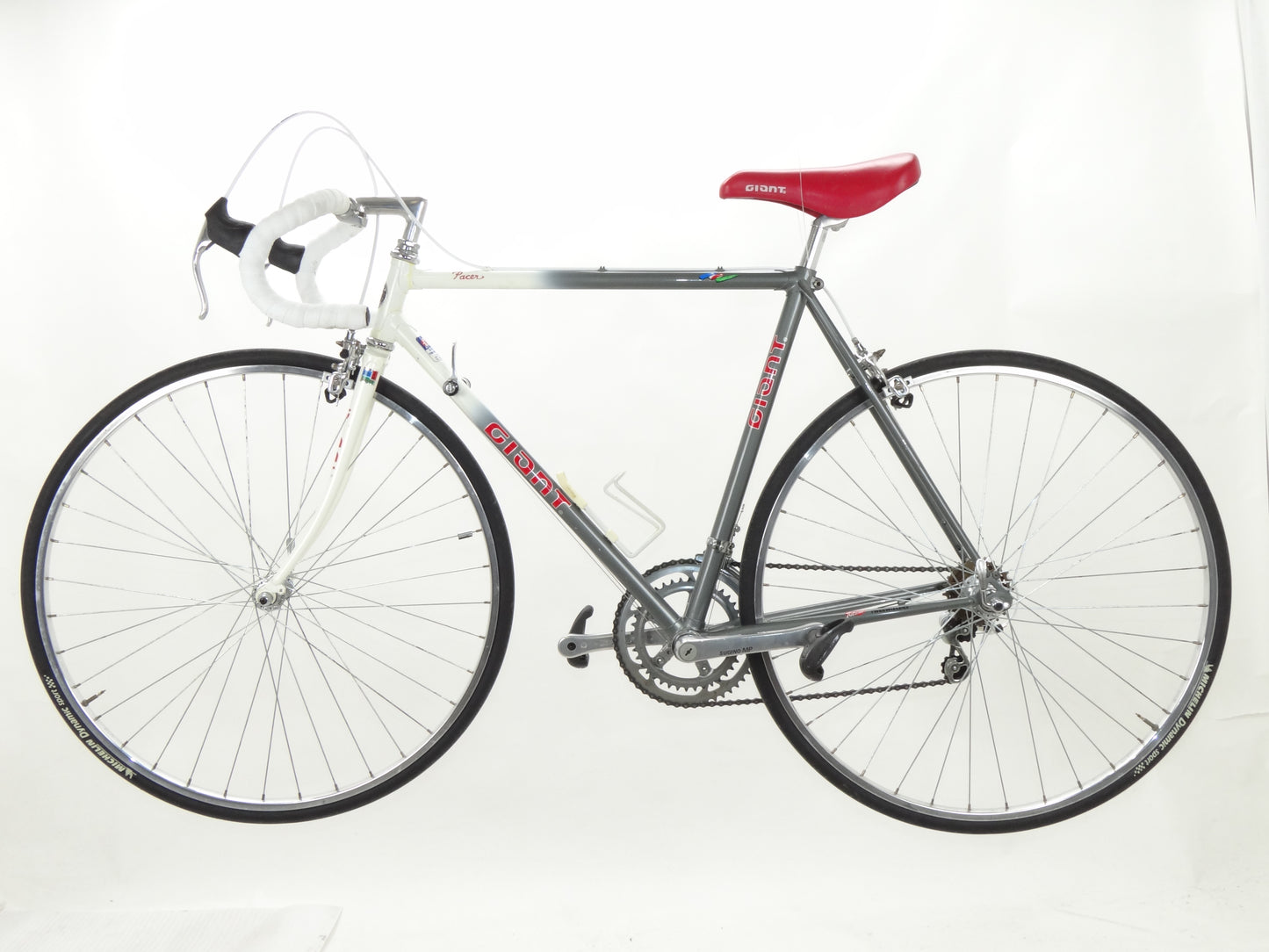 Giant Pacer