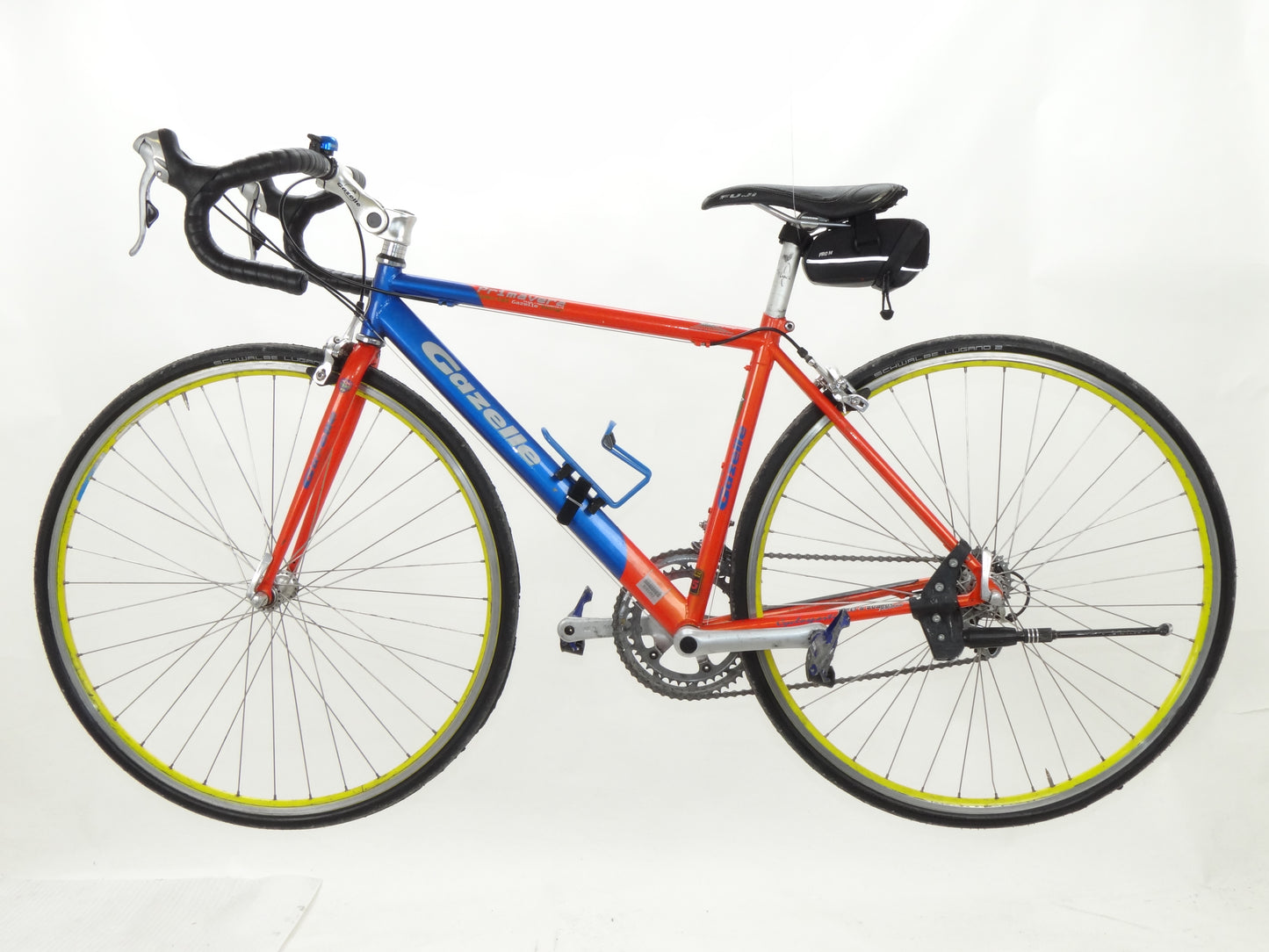 Gazelle Primavera