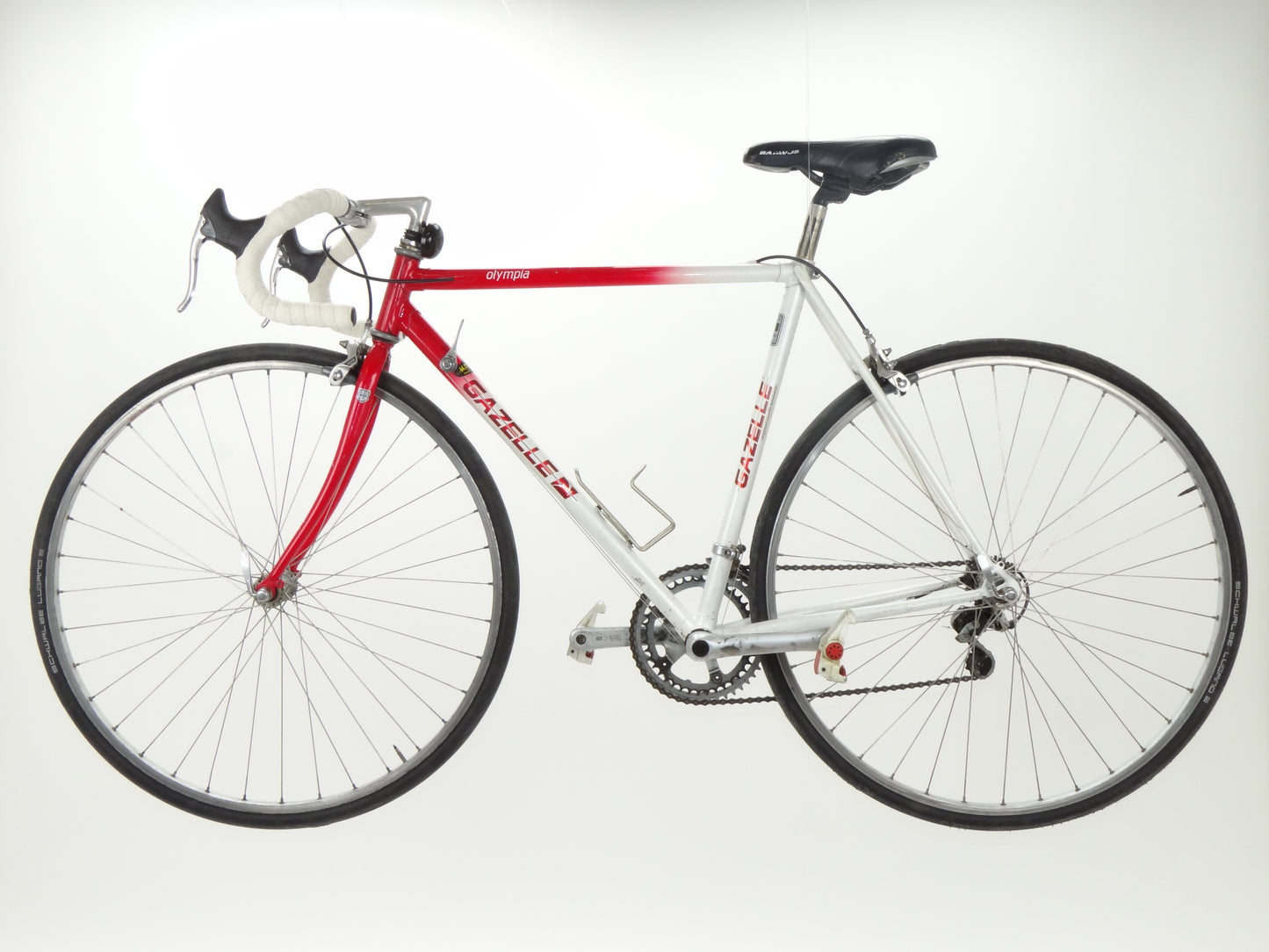 Gazelle Olympia