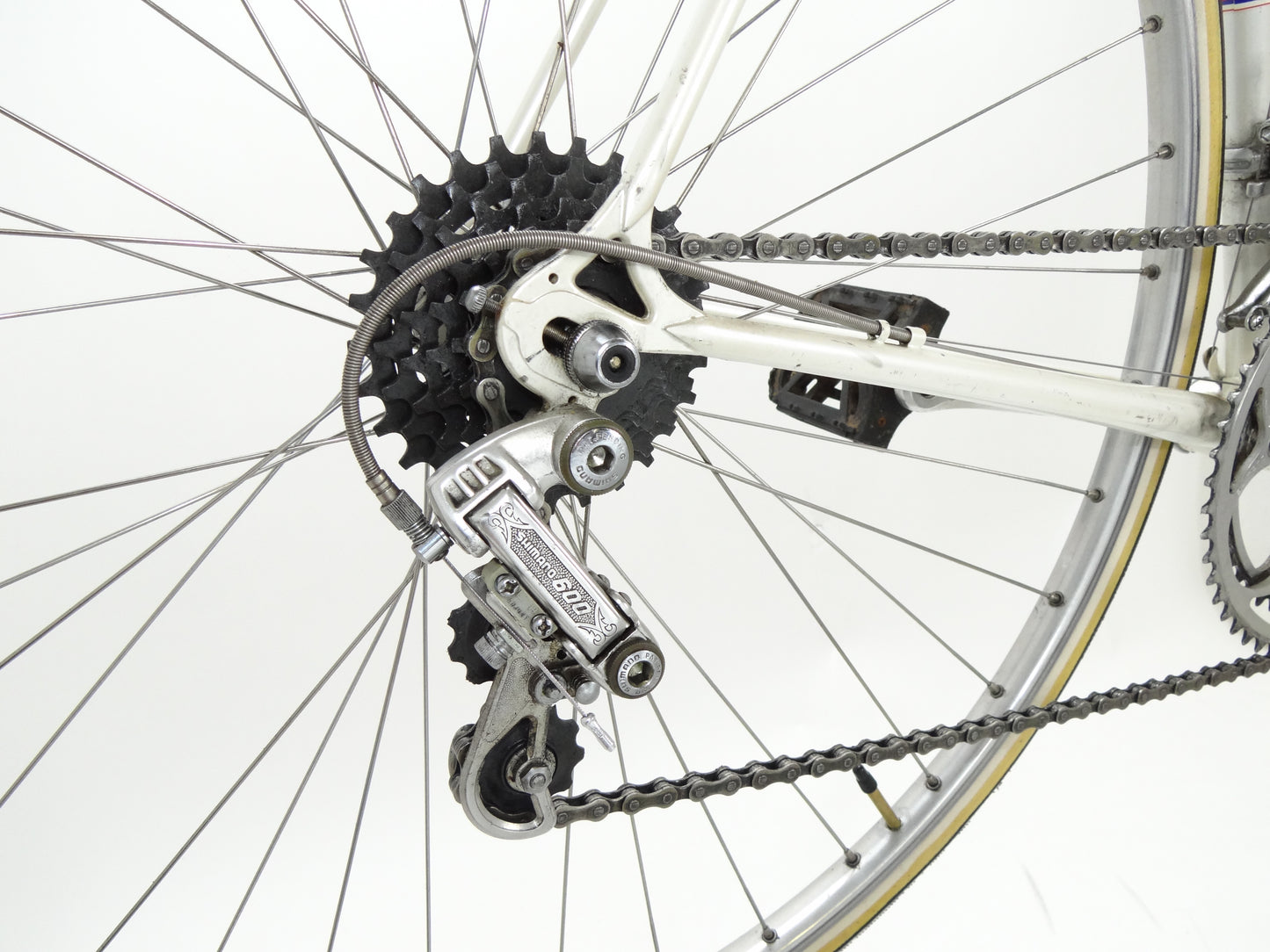 Tigra Professionnel
