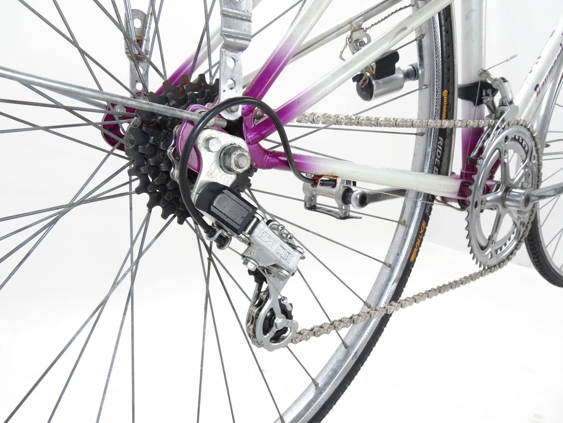 poulidor rennrad Raymond Poulidor Lady – Der ReCyclist