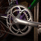 Basso Loto