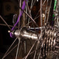 Basso Loto