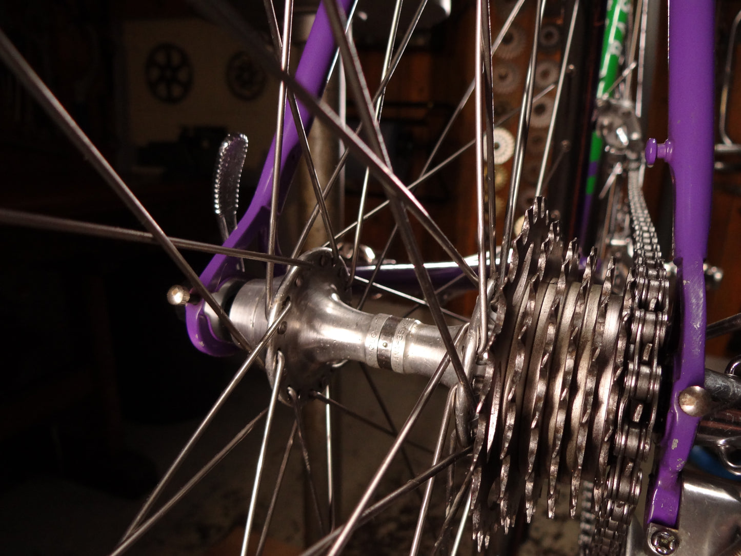 Basso Loto
