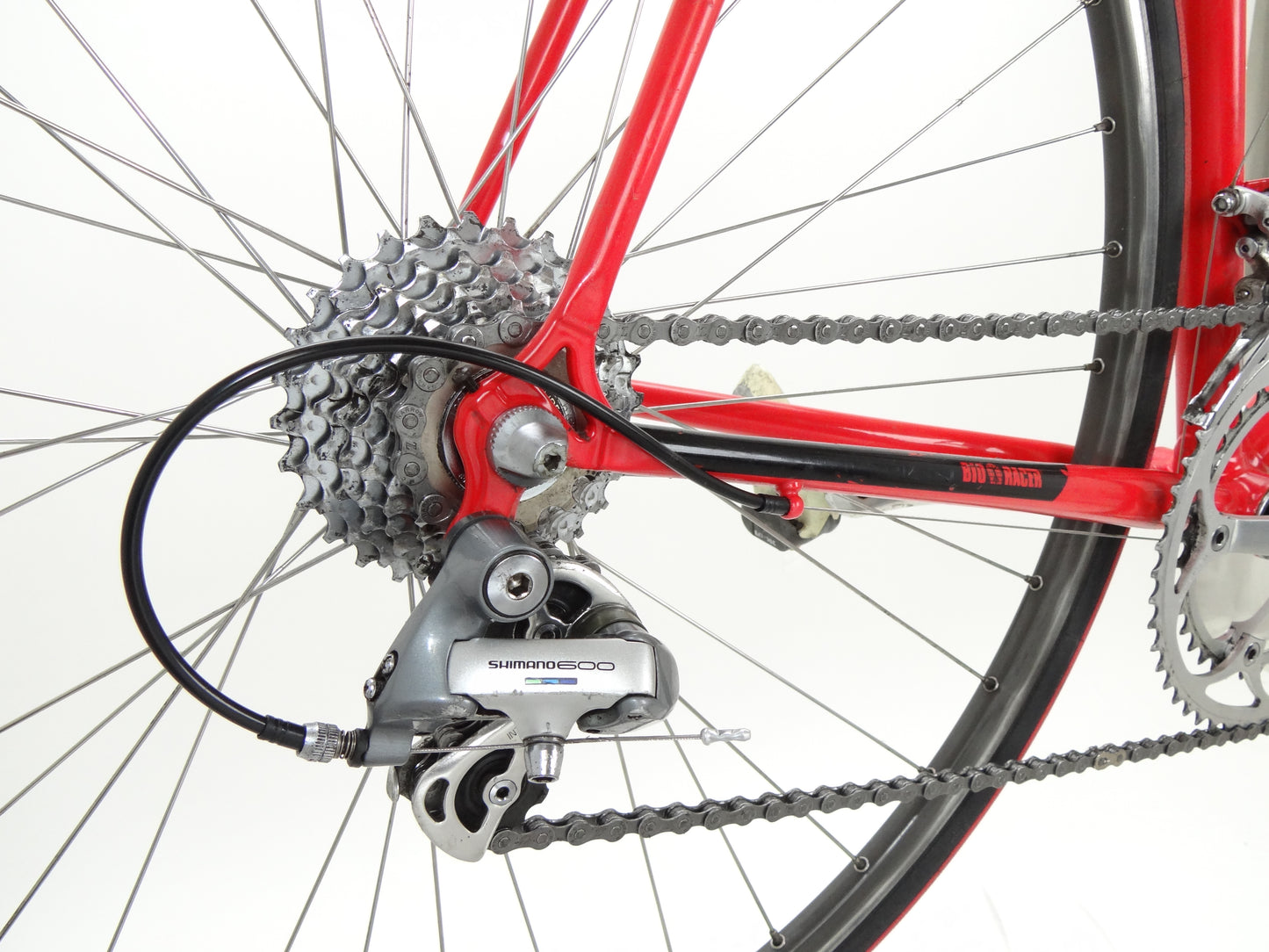 Bioracer ProBike