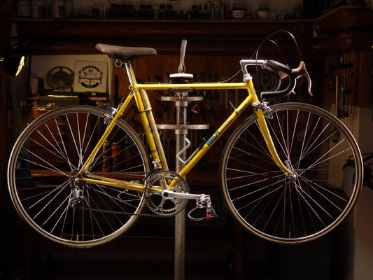 Masi Prestige