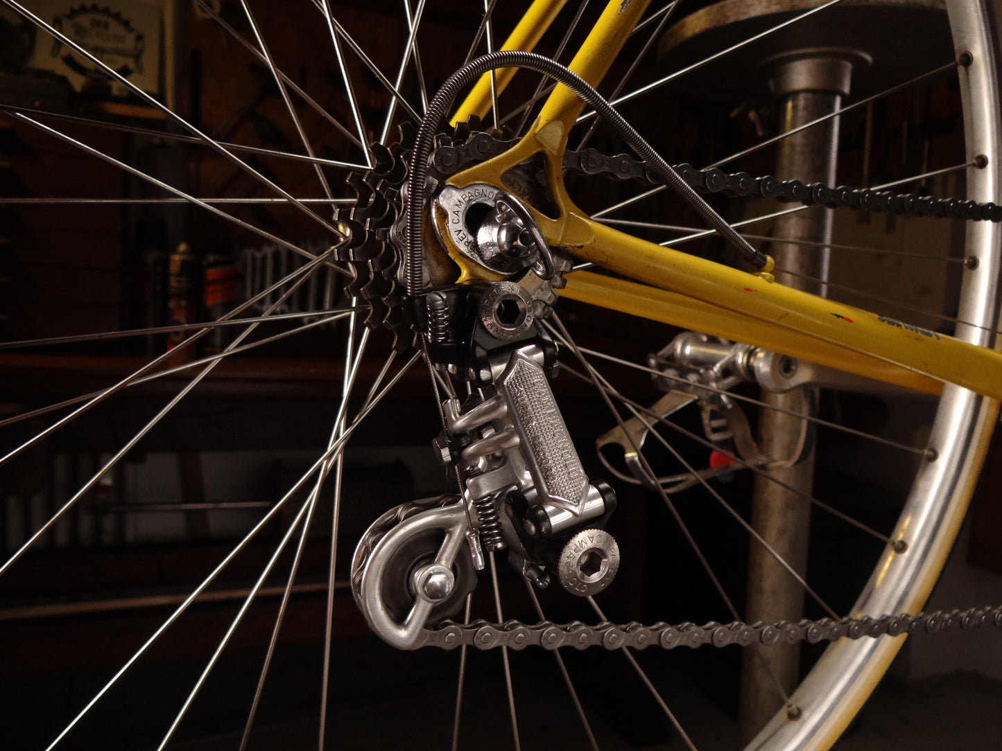 Masi Prestige