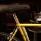 Masi Prestige