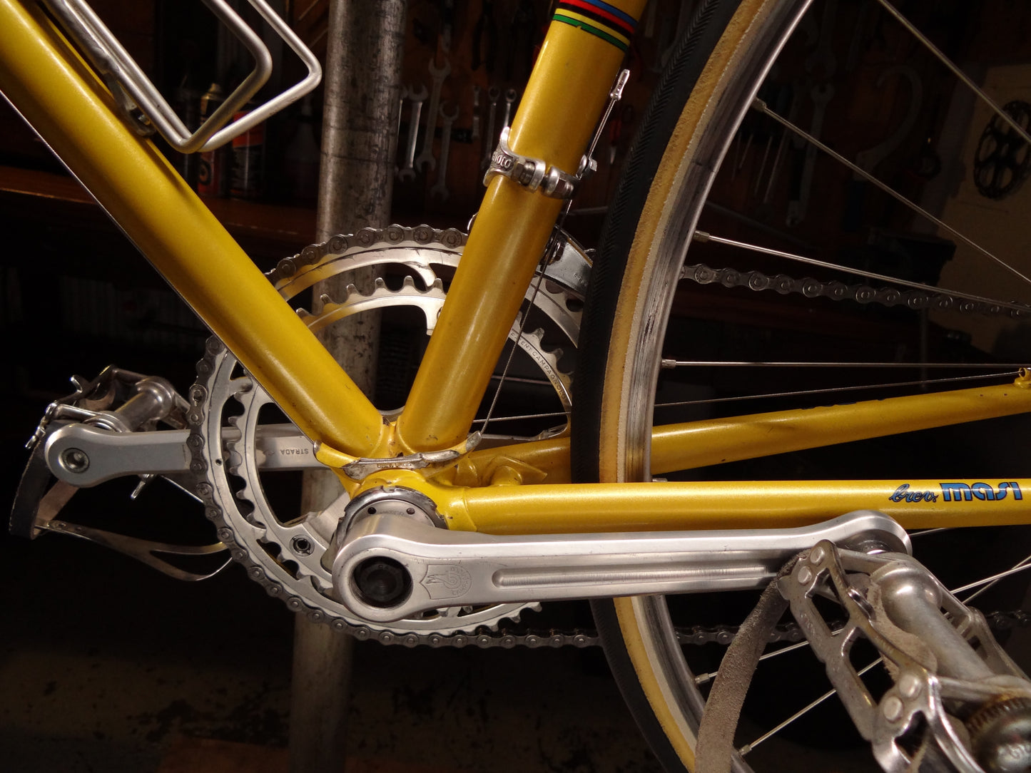 Masi Prestige