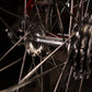Colnago Super Saronni