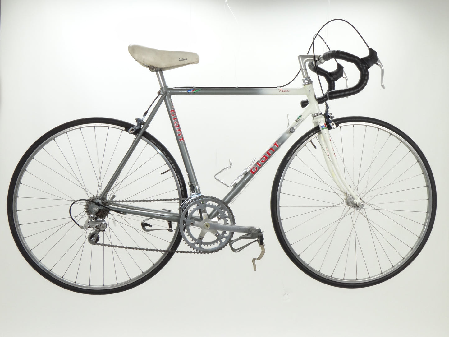 Giant Pacer