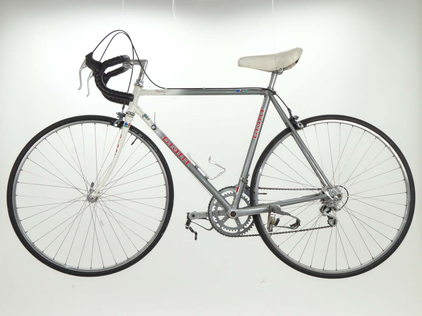 Giant Pacer