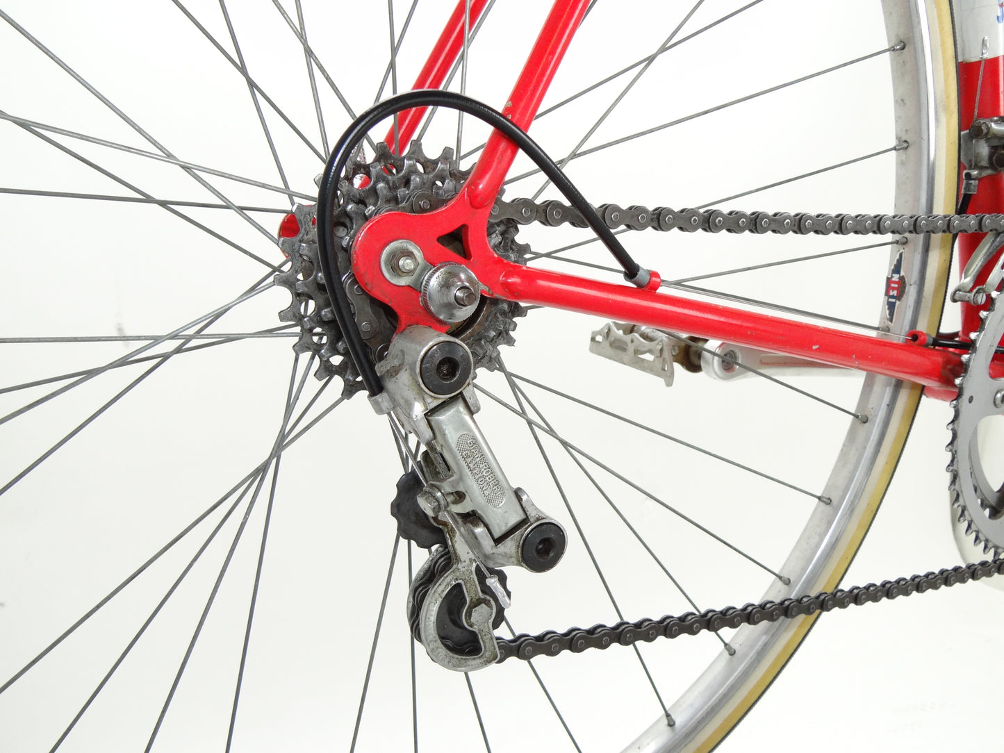 Atala Campione d'Italia