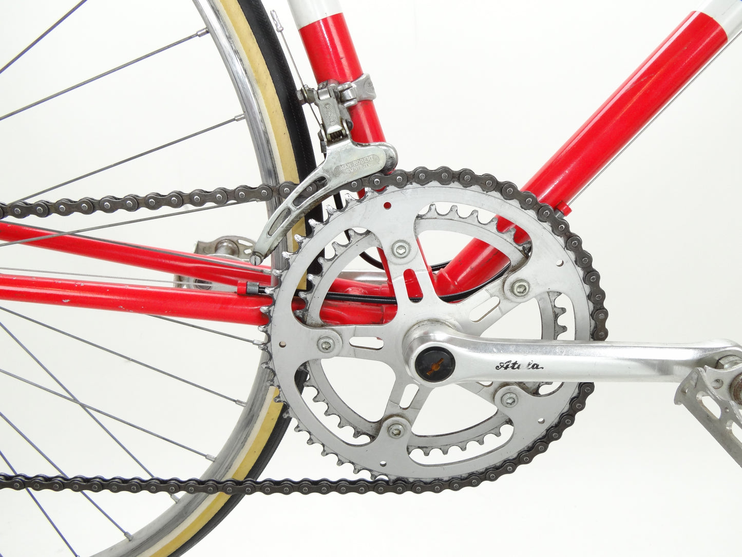 Atala Campione d'Italia