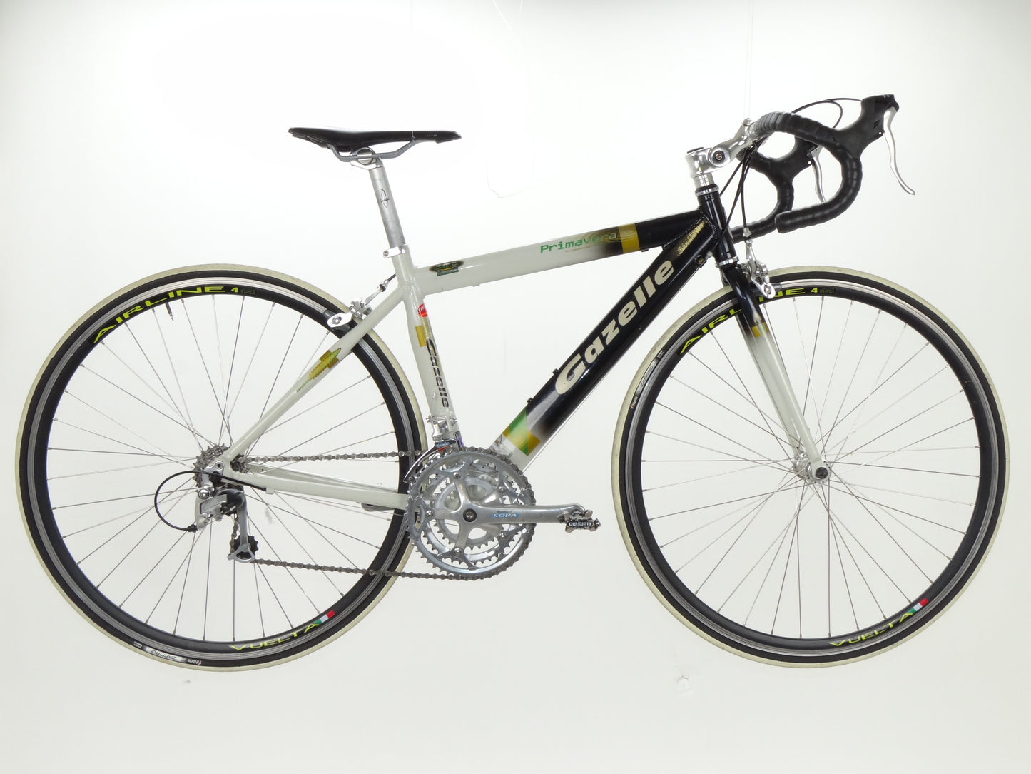 Gazelle Primavera