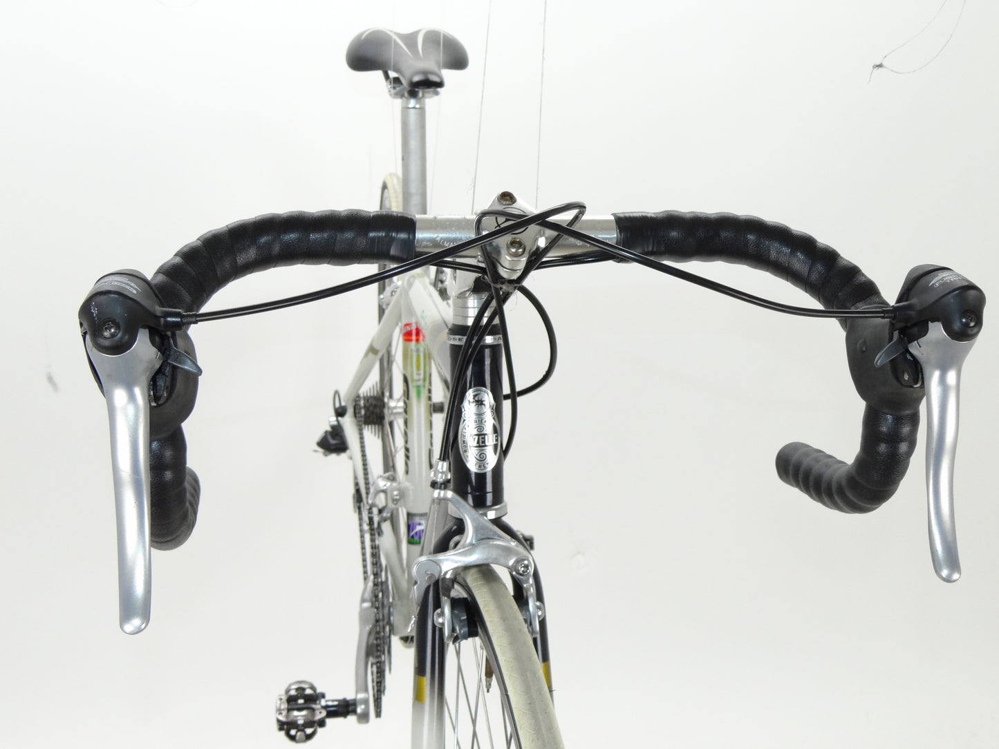 Gazelle Primavera