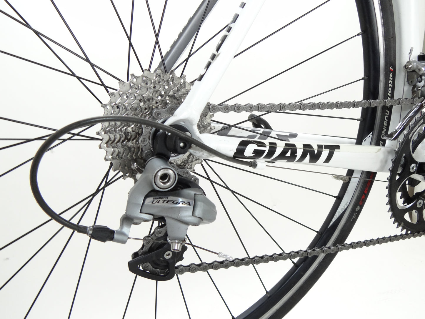 Giant TCR Limited