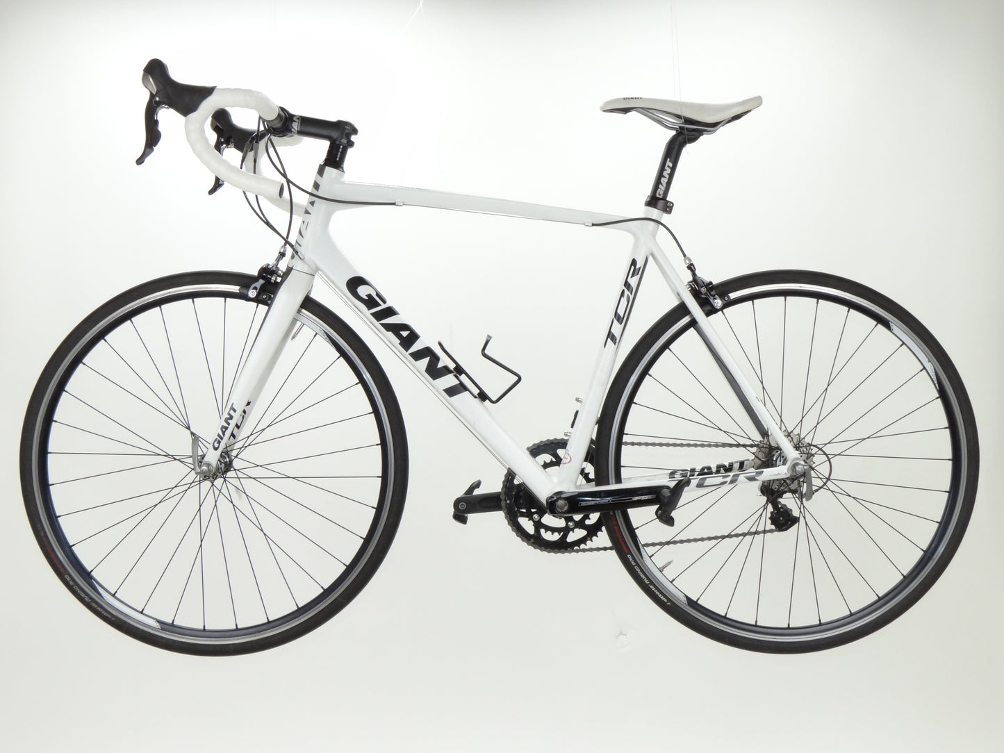 Giant TCR Limited