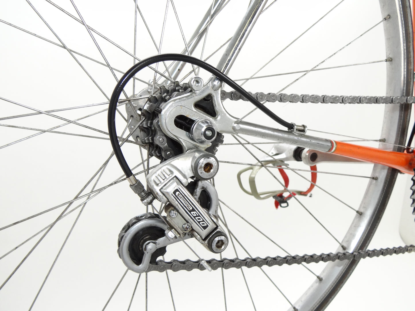 Batavus Professional