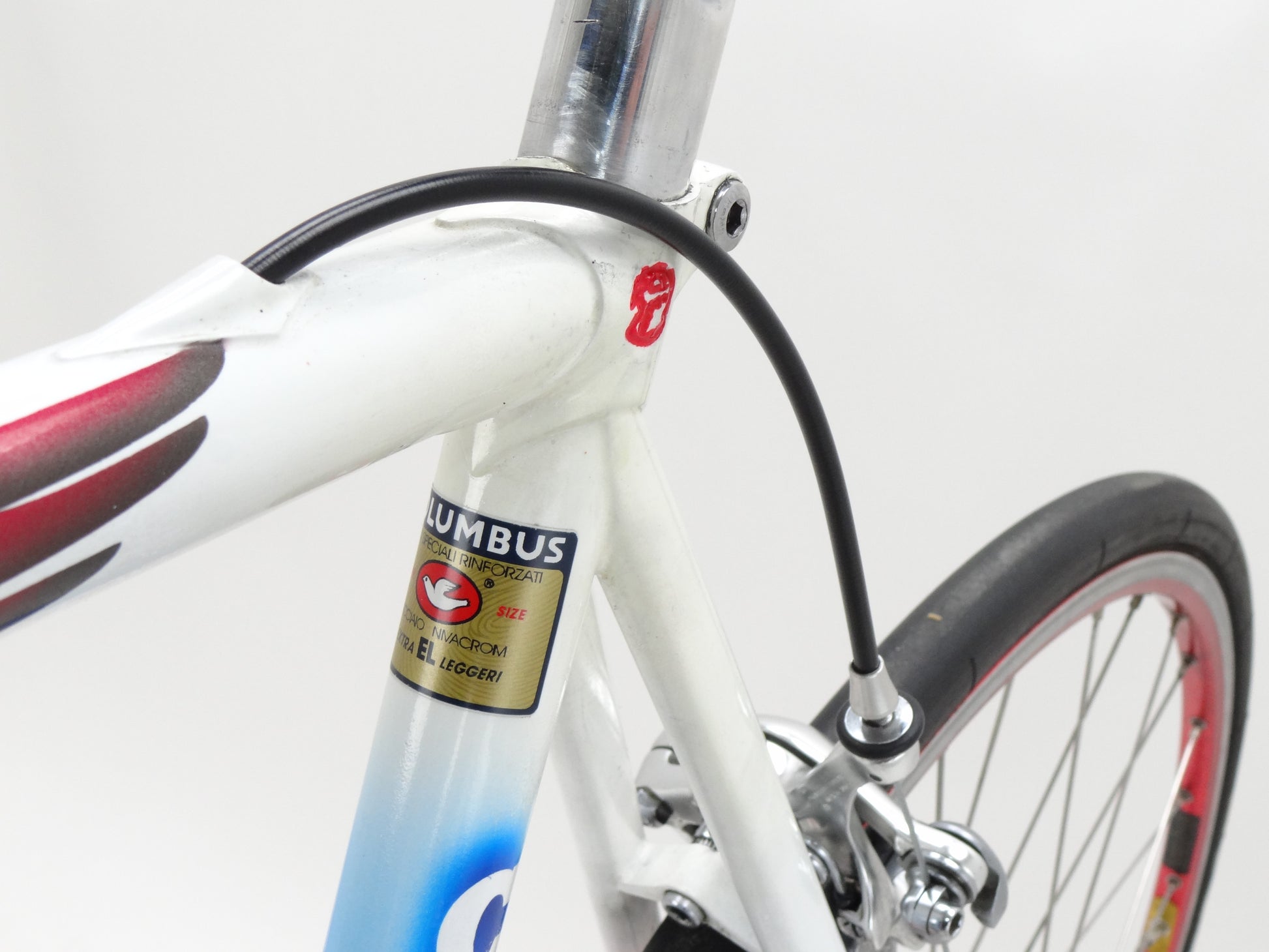 pantani rennrad Carrera Marco Pantani Replica – Der ReCyclist
