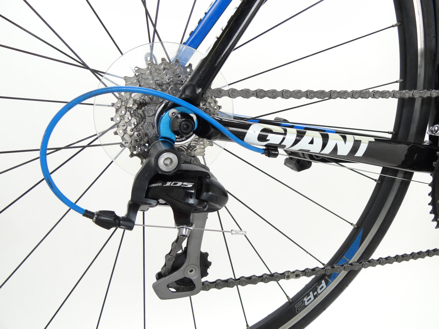 Giant TCR