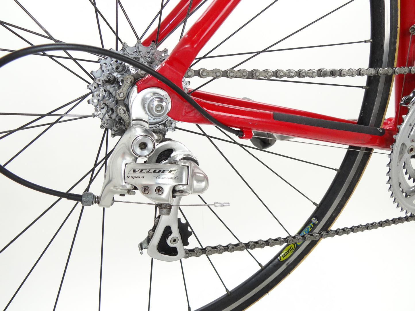 Giant TCR