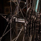 Bianchi Campione del Mondo