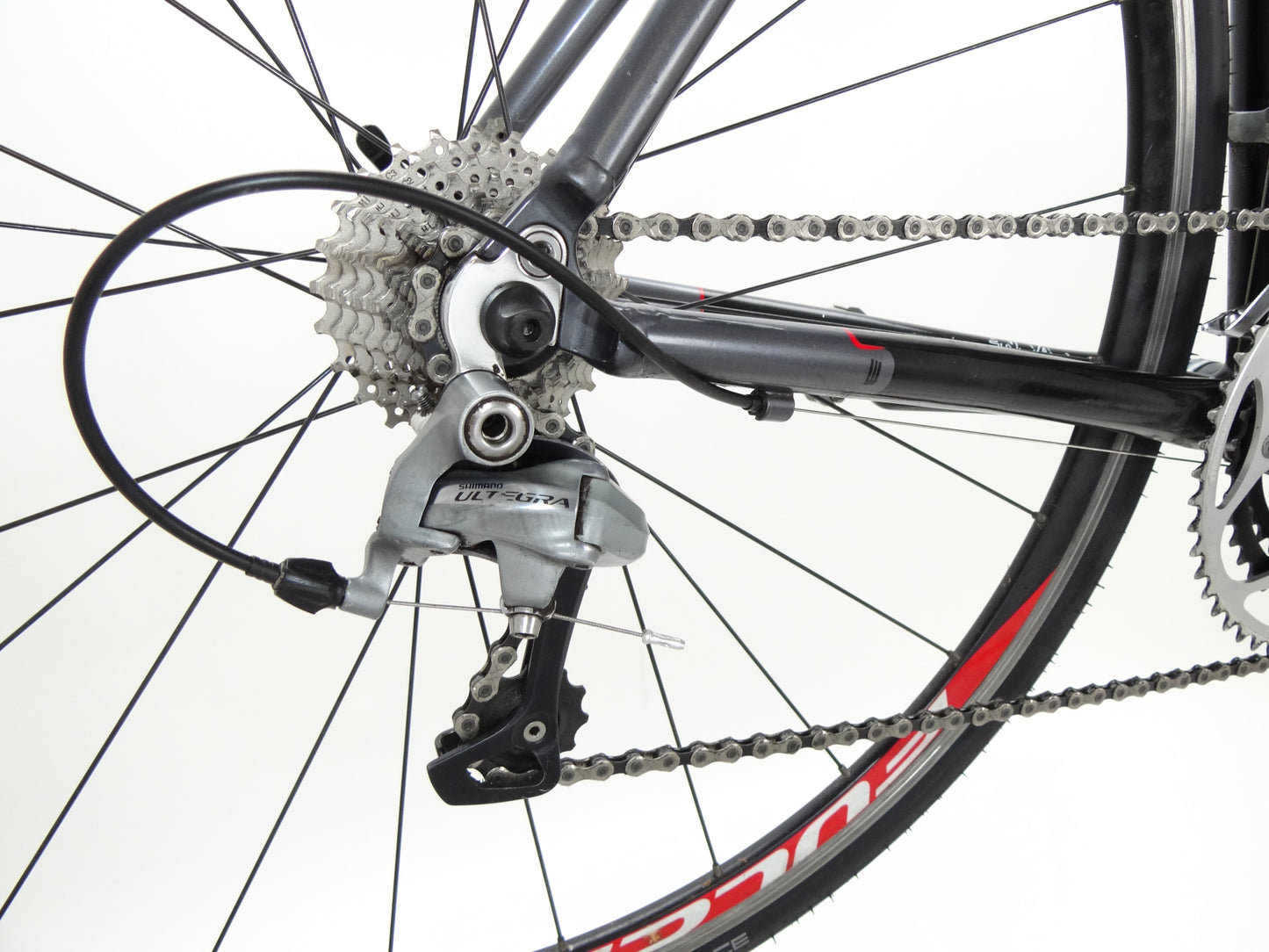 Bulls Desert Falcon 1