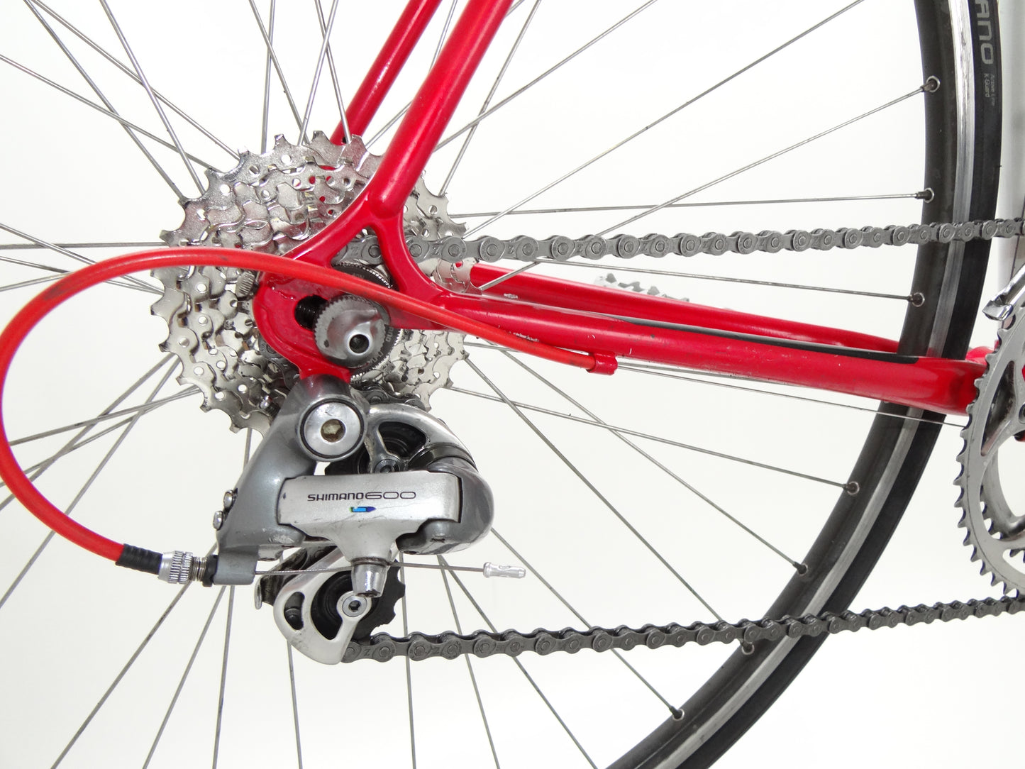 Gazelle Champion Mondial