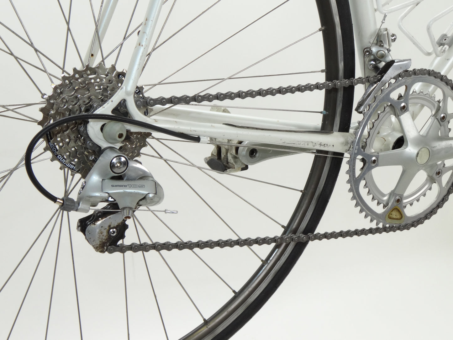 Gazelle Champion Mondial