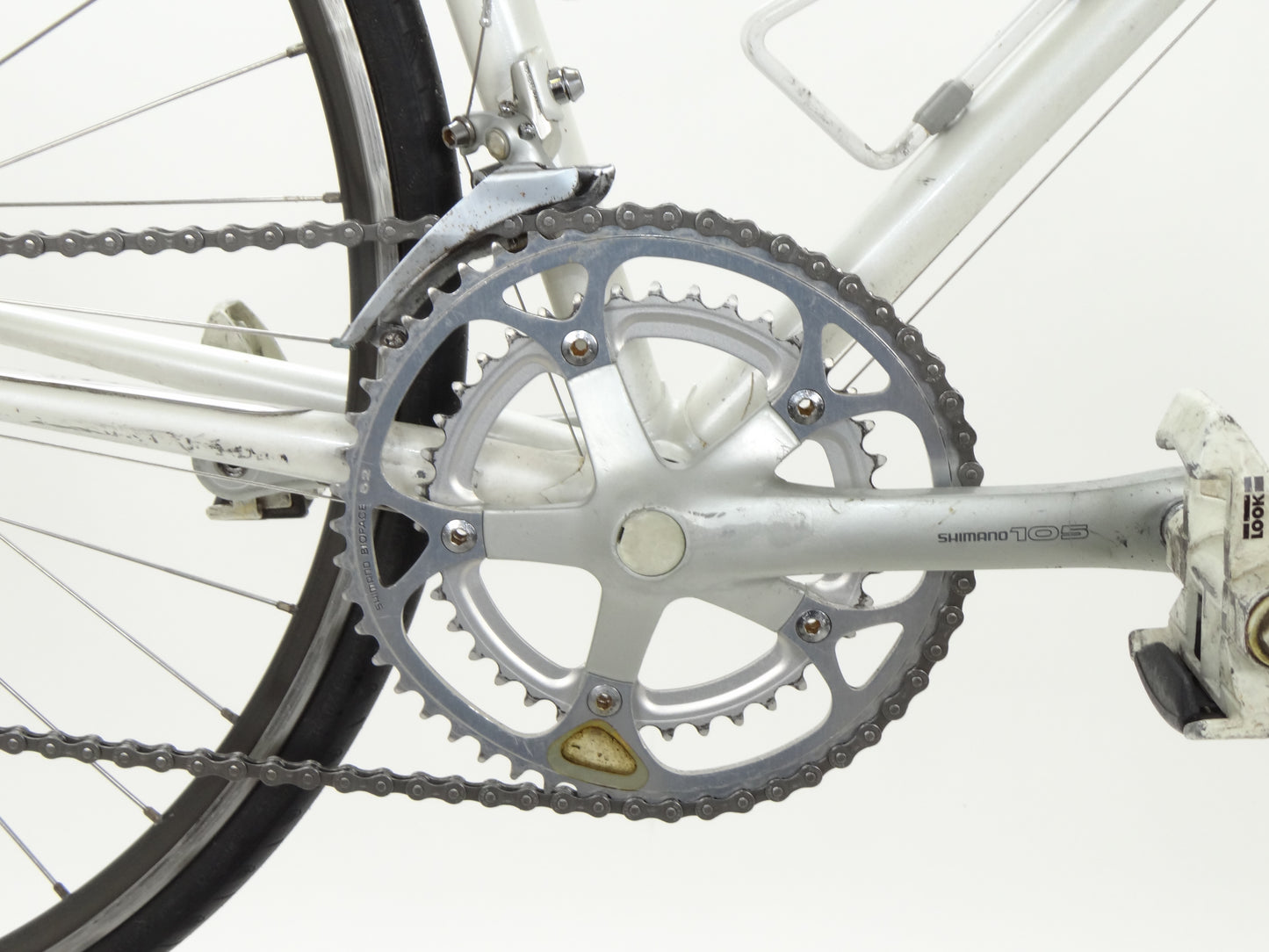 Gazelle Champion Mondial