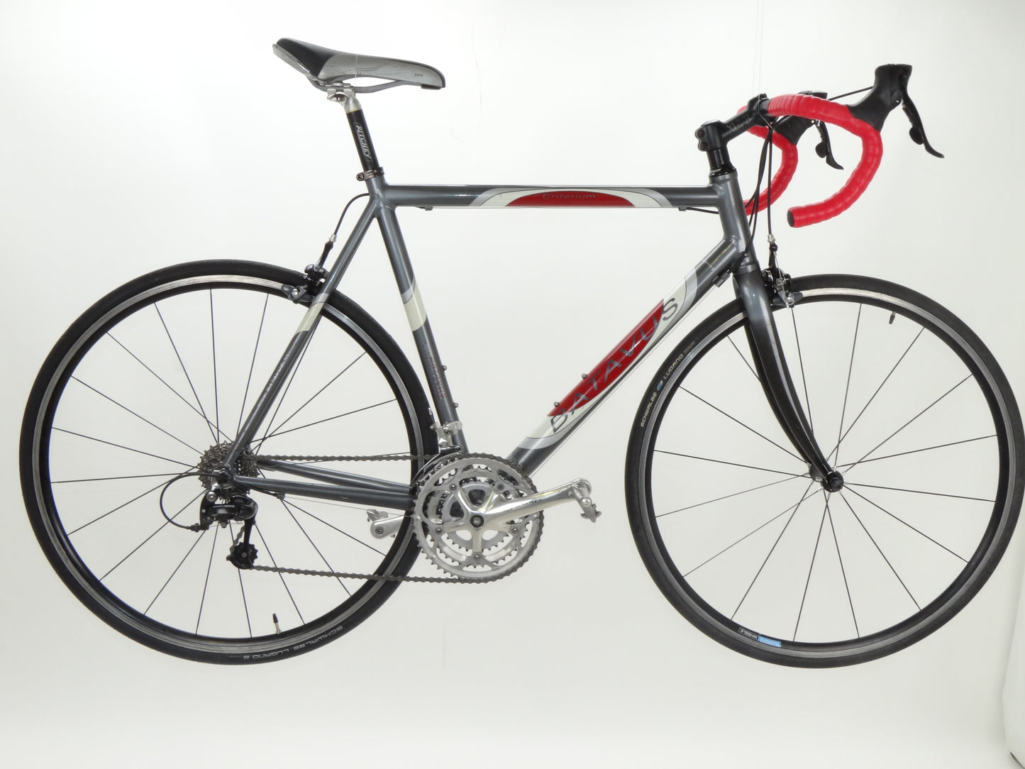 Batavus