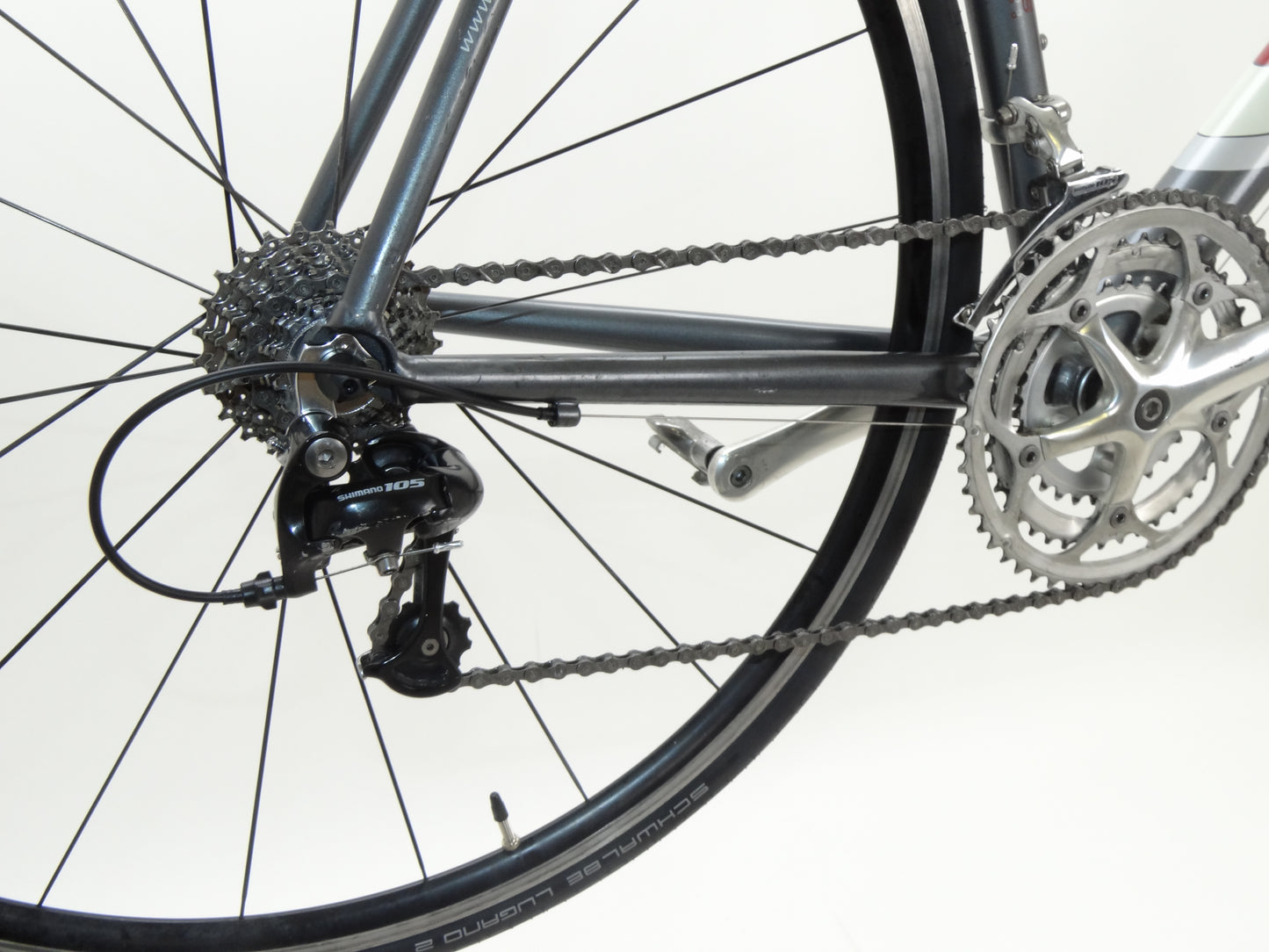 Batavus