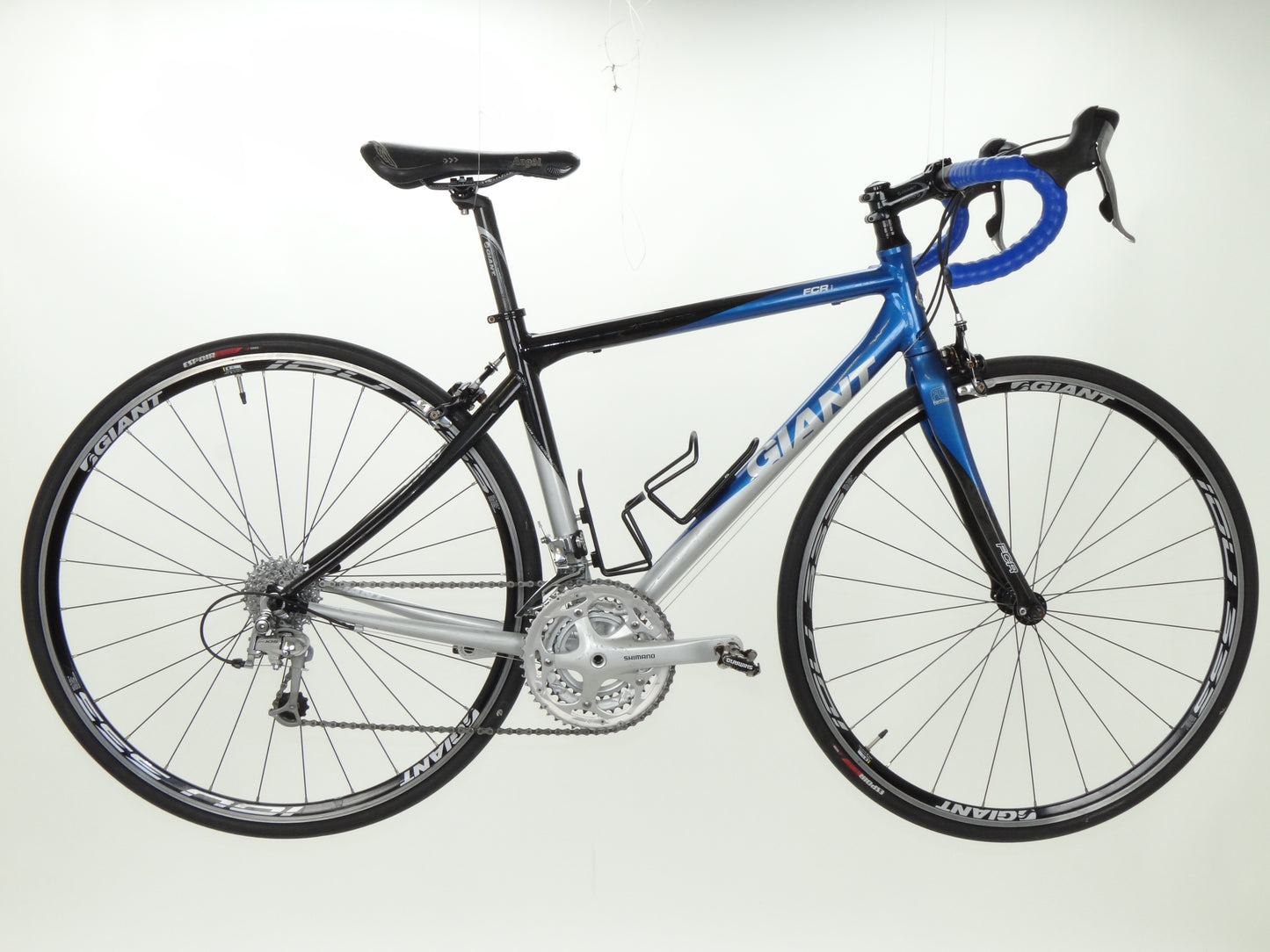 Giant FCR1
