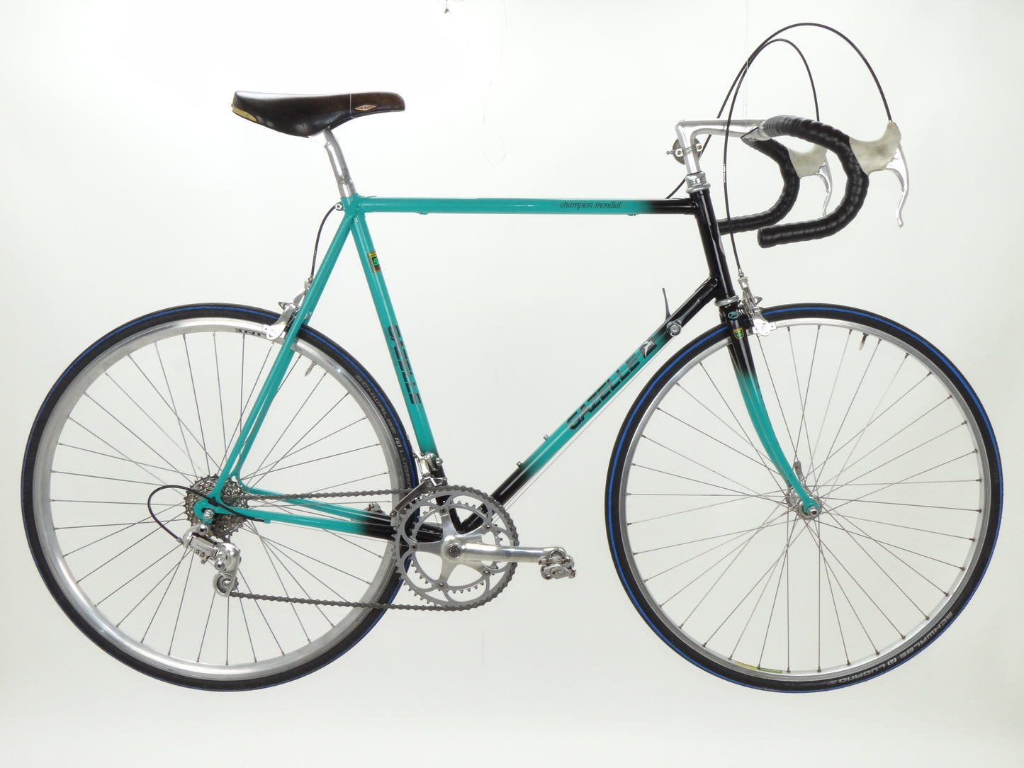 Gazelle champion mondial