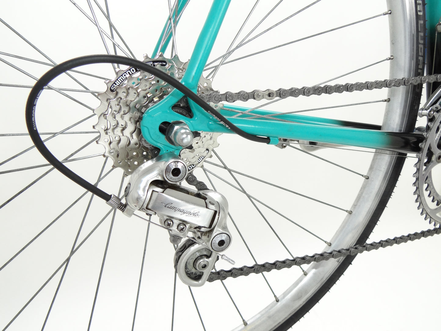 Gazelle champion mondial