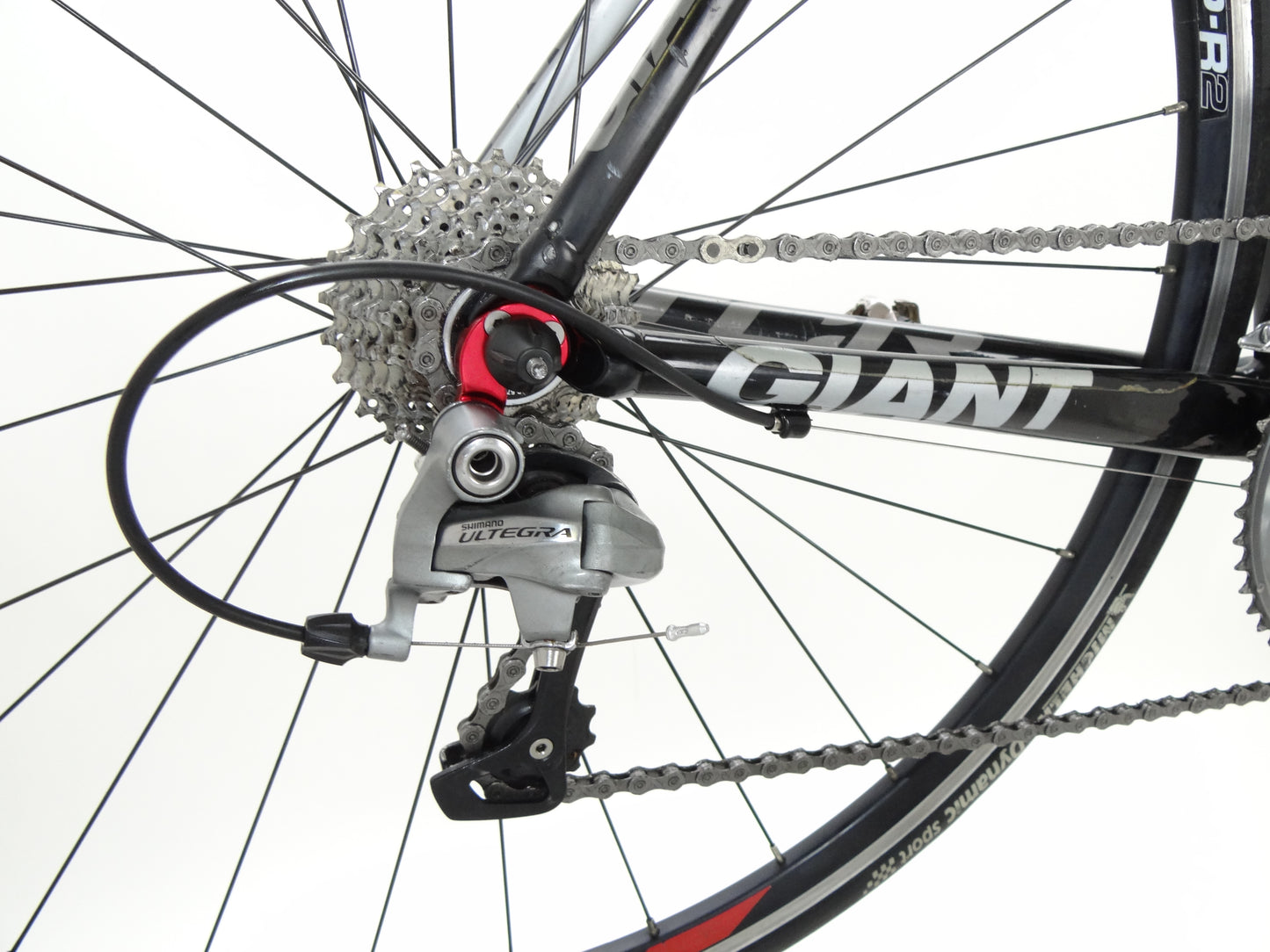 Giant TCR
