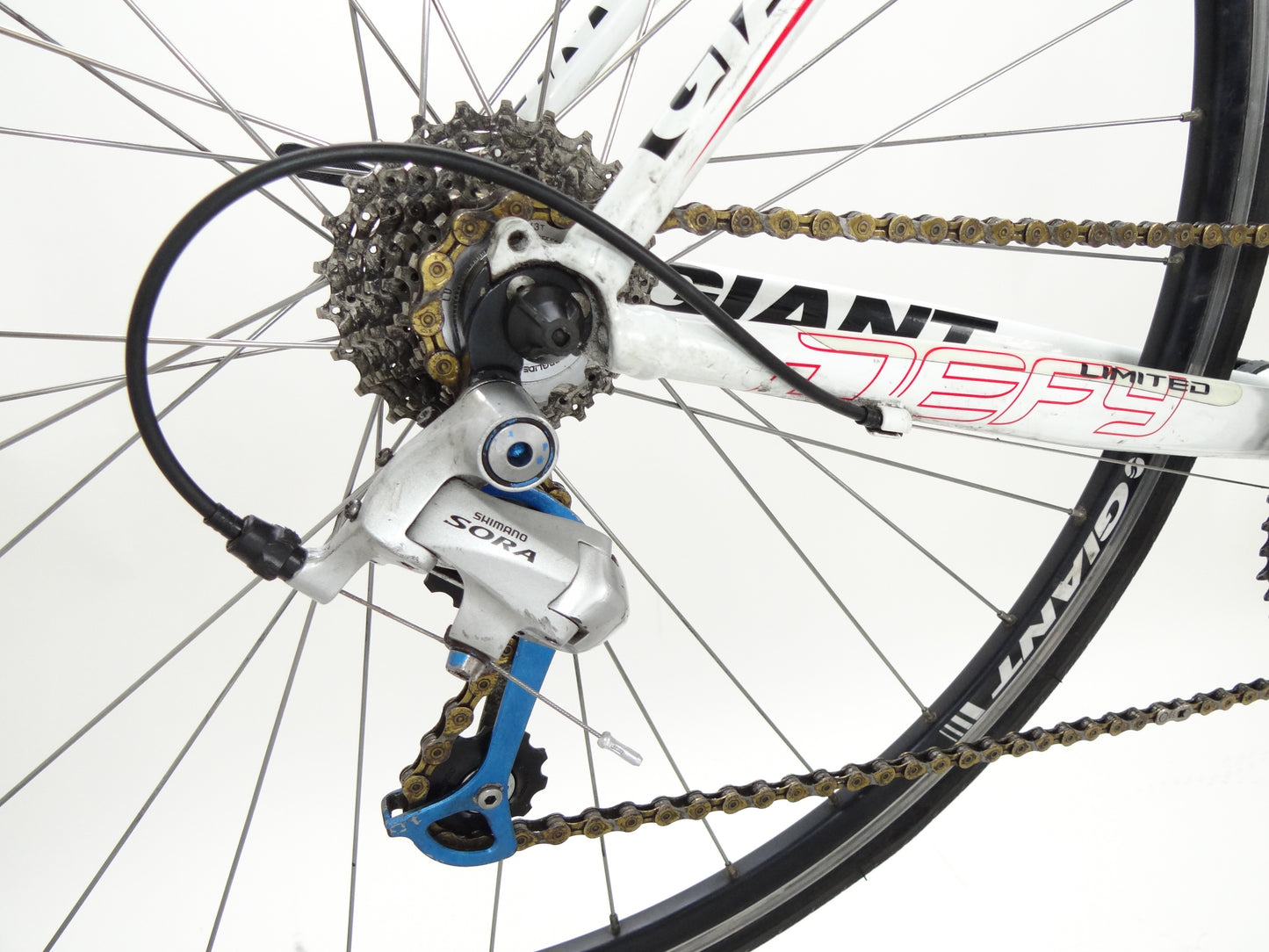 Giant Defy Limited