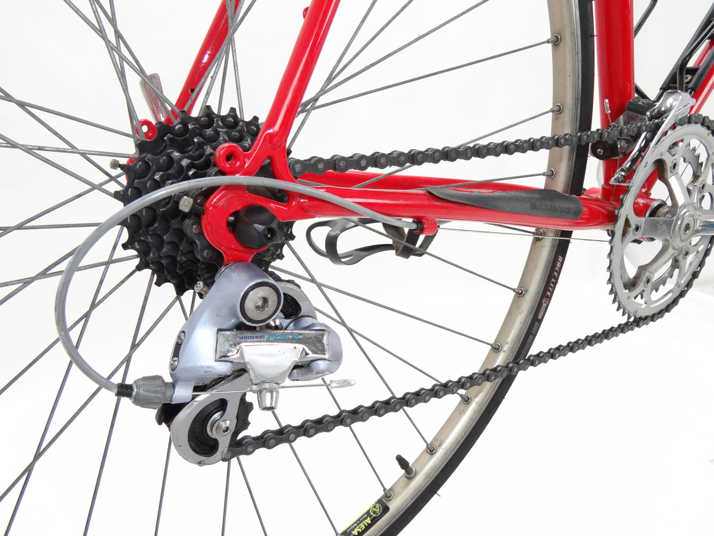 Batavus Champion