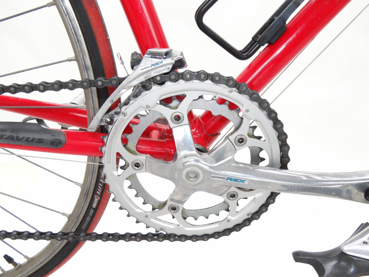 Batavus Champion