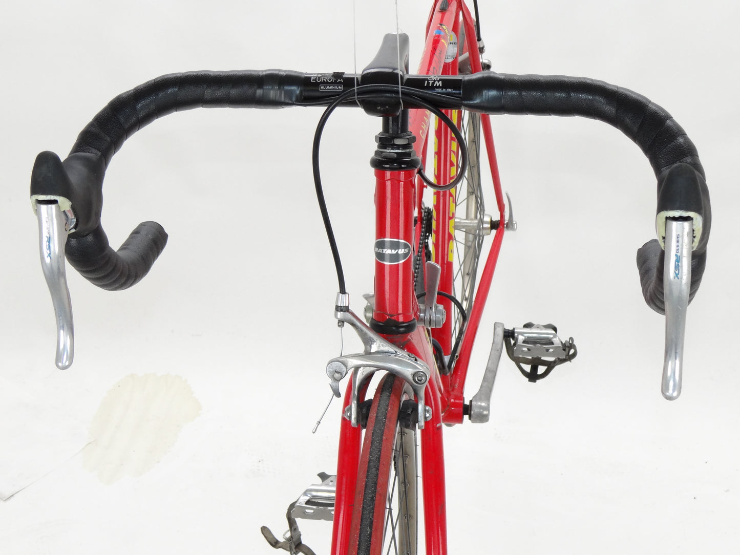 Batavus Champion