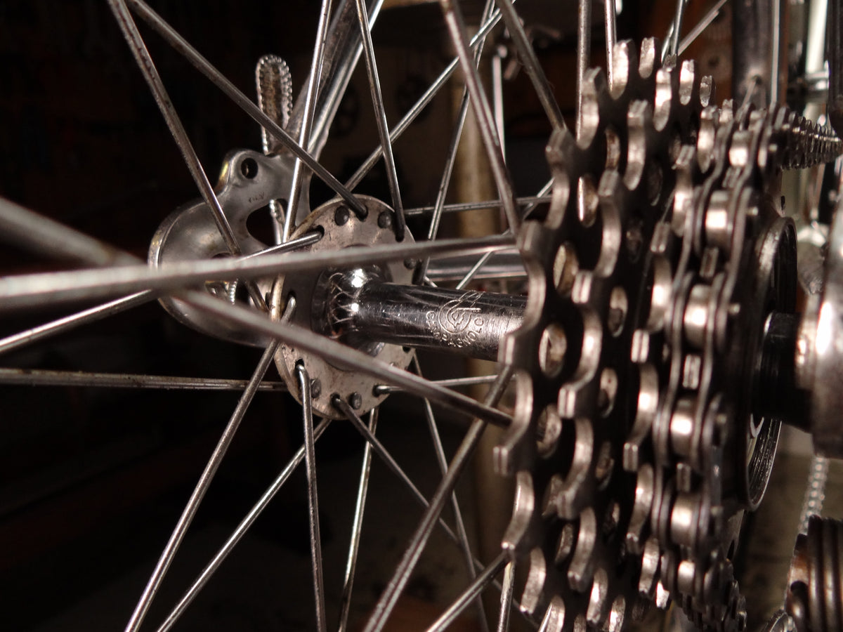 Cinelli Model C Riviera