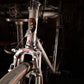 Cinelli Model C Riviera