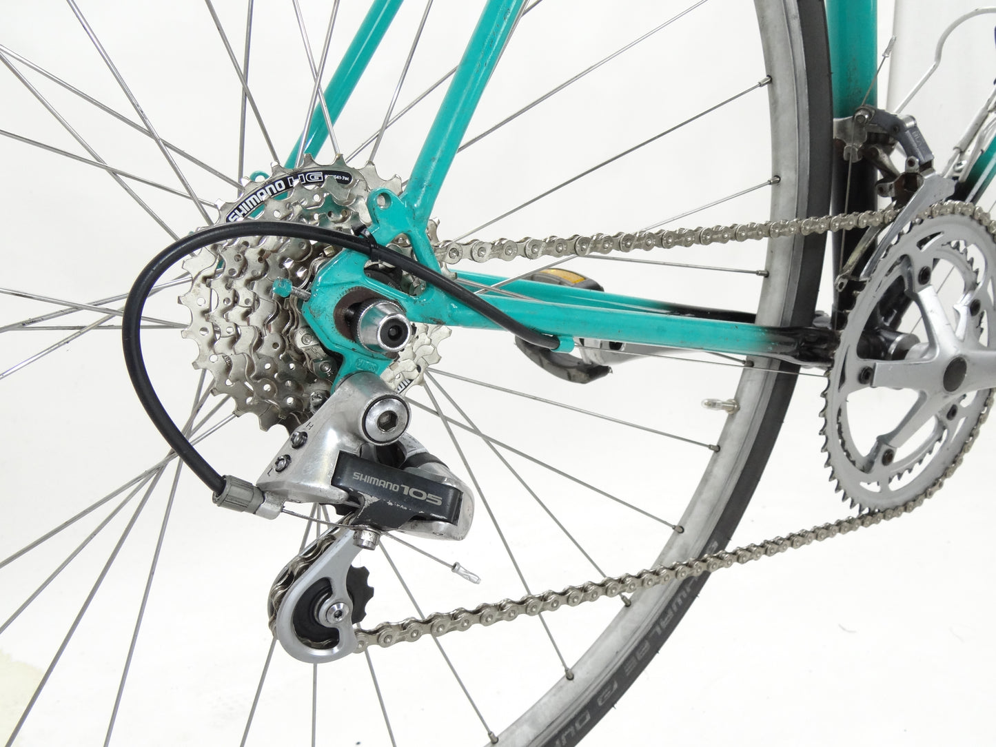Gazelle Ventoux