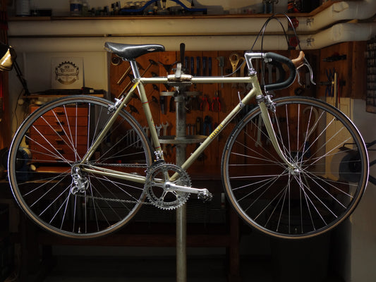 Masi Prestige